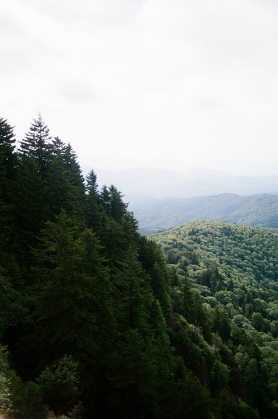 白昼白昼山上绿树成荫